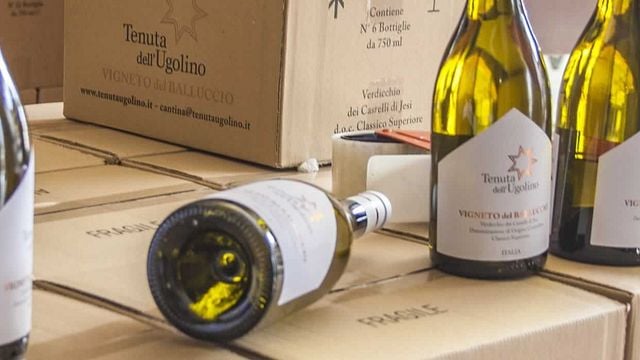 Degustación y visita a la Tenuta dell'Ugolino