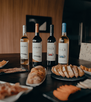 Dégustation de vins et de produits régionaux avec visite à Quinta Da Almiara