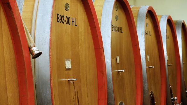 Descubra la identidad de la Cantina Toblino