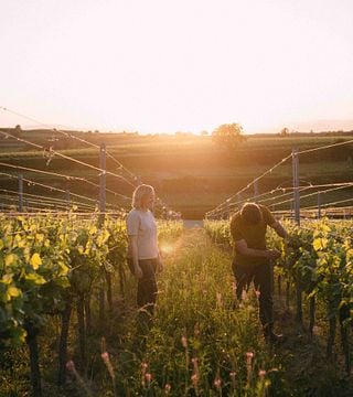 Weingut Trautwein