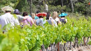 Balade Vigneronne – Weinprobe und Führung im Château de Fourques