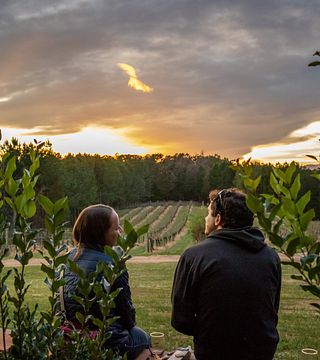 Degustação de vinhos e passeio em Mountain Brook Vineyards