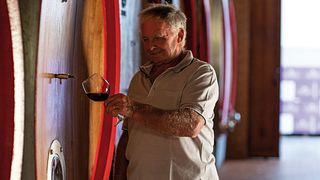 Degustação de vinhos e tour em Bric Castelvej