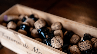 Dégustation de vins et visite à la Fattoria di Montemaggio