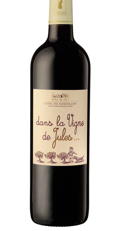 Dans la Vigne de Jules