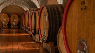 Montalcino: Vingårdstur och vertikal gourmetprovning av Brunello