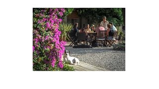 Die Vergangenheit schmecken, die Gegenwart genießen | Weingut Mas Comtal