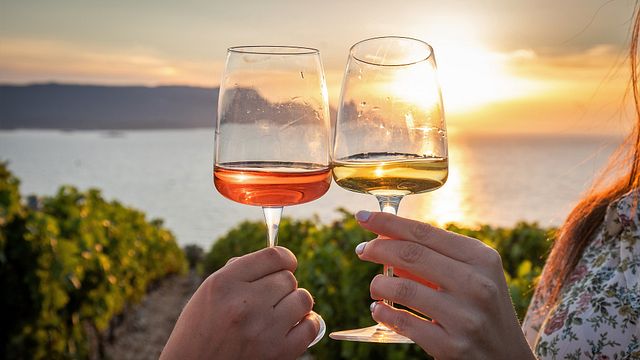 Vinprovning och rundtur på Terra Madre Winery