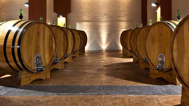 Cata de vinos y visita guiada en Antichi Vinai