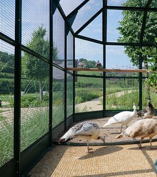Esperienza Vino&Natura a Ca' Rugate