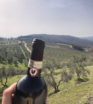 Stefano M