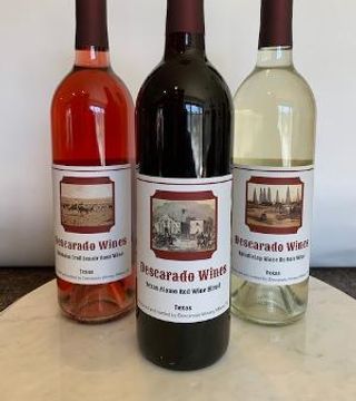 Experiência fantástica de degustação de vinhos na vinícola Descarado