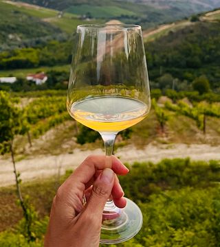 Todo sobre las ánforas en Cirelli Wines