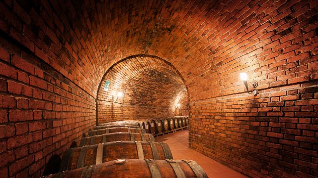 Visita della cantina e degustazione di vini abbinati a un pranzo completo toscano | Castello Monterinaldi