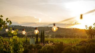 Degustazione al tramonto tra i filari della vigna