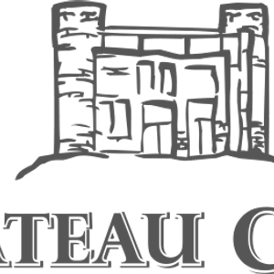 Une expérience de vacances au Château Copsa