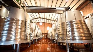 Dégustation de vins et visite au Pago de las Encomiendas