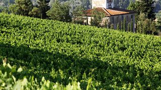 Tenuta Castiglioni