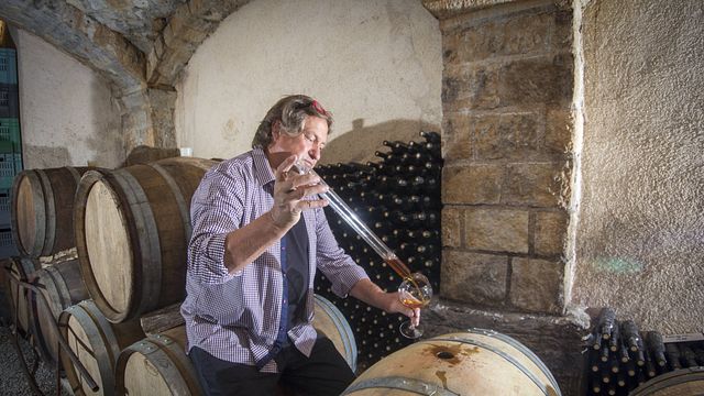 Renčel Boutique Wines