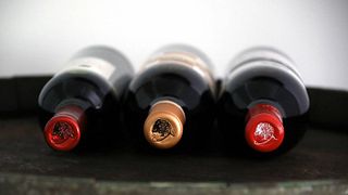 Tour del vino e degustazione alle Bodegas Aragonesas