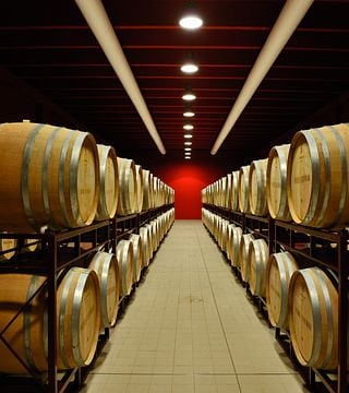 Enjoy Abruzzo Wine & Cellar Lunch at Castorani