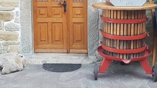 Vinska klet Vilij Bržan Marezige