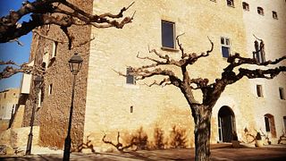 Estol Verd Celler