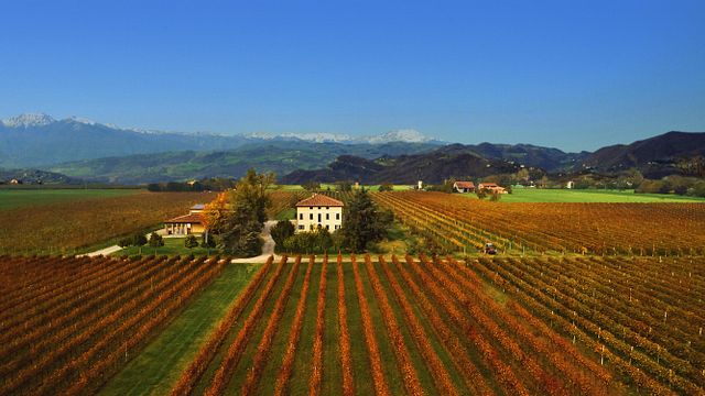Apaixone-se pelos vinhos do estilo Emiliano na propriedade Medici Ermete & Figli