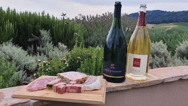 Dégustation de vins et visite du Prime Alture Winery & Resort