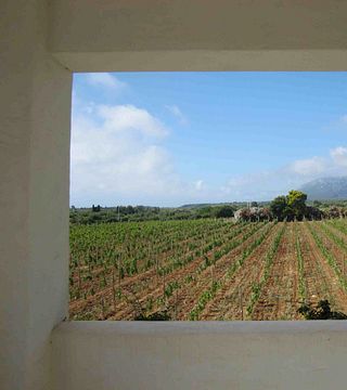 Wine Tasting, Archaeology & Landscapes Tour