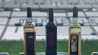 Degustazione di vini e tour al Domaine De L'olibaou