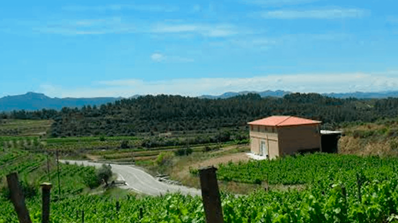 Wine Tasting at Mas Dels Estels