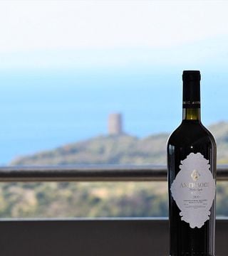 Ampeloeis Winery