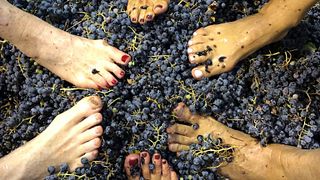 Eine Weinprobe mit dem Önologen von Azamor Wines