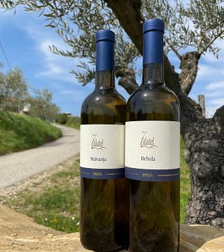 Degustazione di vini Zalatel e tour della cantina a Goriška Brda