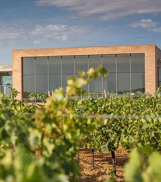 Degustazione di vini e visita alla Finca Montepedroso