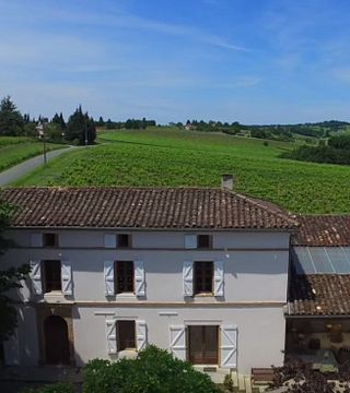 Degustazione di vini e visita allo Château Maresque
