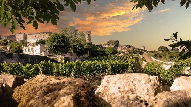Bordeaux Uncovered