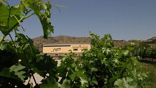 Cata de vinos en Olenos Estate  