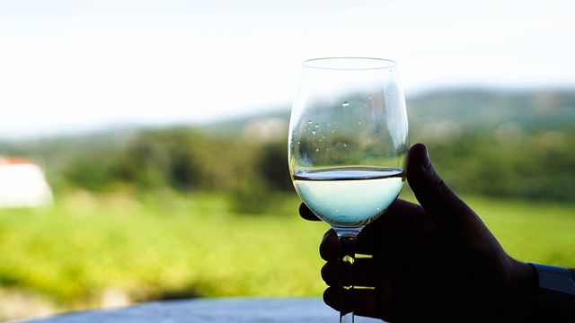 Degustazione di vini e tour al Solar Das Bouças
