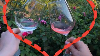Taste Veneto Tradition at Le Pignol Vineyard