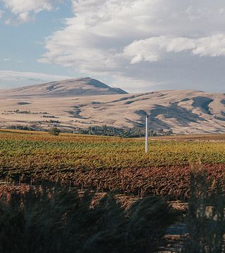 Kiona Vineyards and Winery