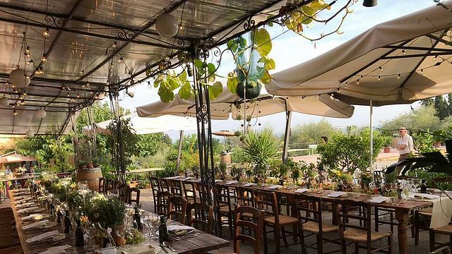 Dégustation de vins et visite à la Fattoria La Torre