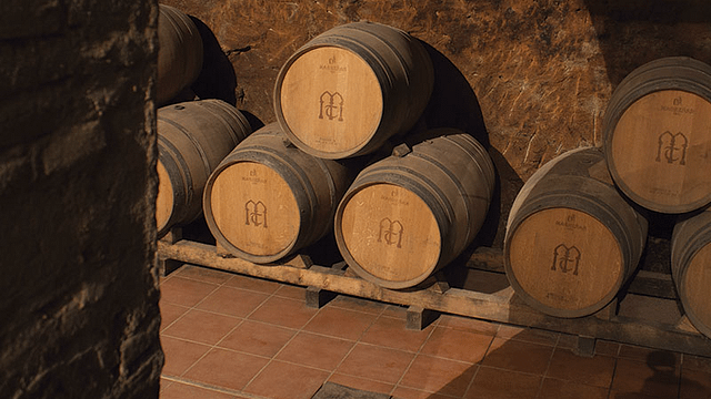 Visite incontournable avec apéritif à la Bodega Muelas