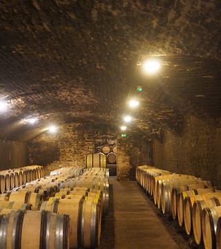 Burgundy Grands Crus & Cellar Tour at Henri de Villamont