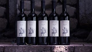 Degustazione di vini e tour ai Marani di Tedo