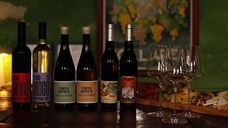 Cata de vinos en Viúva Gomes - Colares (Grupo Privado)