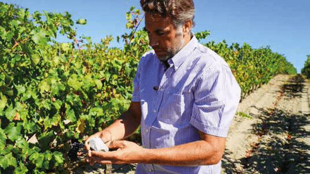 Weinprobe und Führung im Château Guilhem