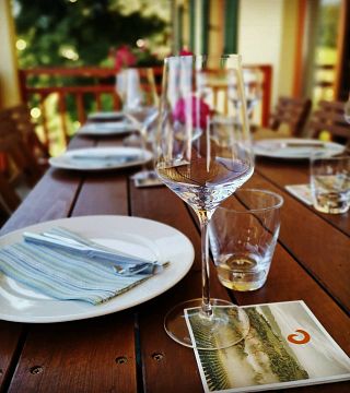 Podravska Wine & Pairing Tour at Vino Jarc
