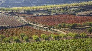 Wine Tasting and Tour at Bodegas Marqués de Reinosa